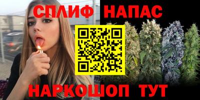 apvp Бугуруслан
