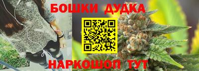 молекула духа Будённовск