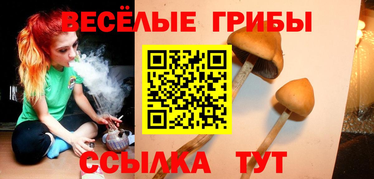 Псилоцибиновые грибы мицелий  Галлюциногенные грибы Psilocybine cubensis  Заинск  Вход с VPN 